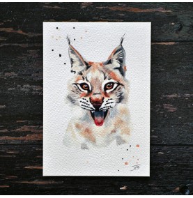 TA Lynx
