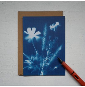 CP Cyanotype Fleurs 1