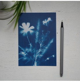 CP Cyanotype Fleurs 1