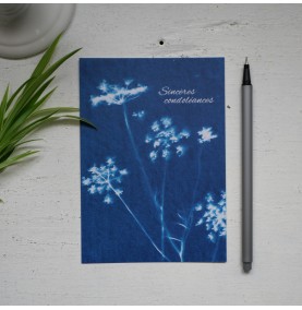 CP Cyanotype Fleurs 2