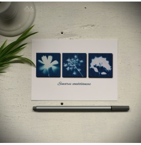 CP Cyanotype Fleurs 3